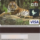 Citi tigre