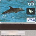 Citi Delfin