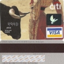 Citi Torero