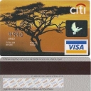 CITI Arbol