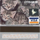 CITIBANK gatos
