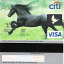 Citi caballo