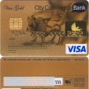 Visa Gold 