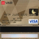 Visa Gold