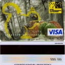 Visa Electron