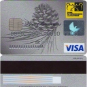 Visa Business