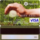 Visa Electron