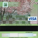 Bank Pivdenny Visa Electron