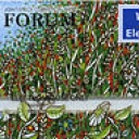 Bank Forum Visa Electron