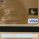 Business Standard Bank Visa Gold