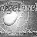 Scratch and Surf Nagelweb.be