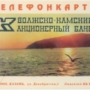 20u Bird above Volga river