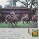 Royal Chitawan National Park