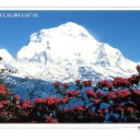 Mt. Dhaulagiri (8.167 m)