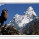 View of Ama Dablam from Tengboche