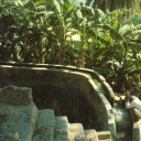 Falaj in Palm Garden