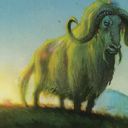 Pillarfield Ox