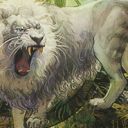 Silvercoat Lion