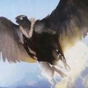 Arctic Aven