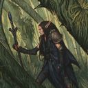 Arbor Elf