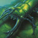 Bond Beetle