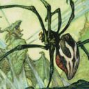 Silklash Spider