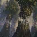 Evolving Wilds