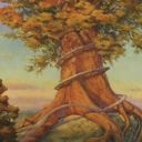 Rootbound Crag