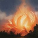 Sunpetal Grove