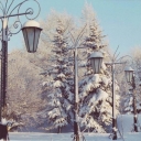Arkhangelsk. Monument to M.V.Lomonosov