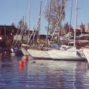 Arkhangelsk. Yacht Port in Solombala