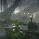 Swamp