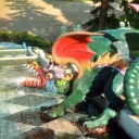 The Dragon Hill Cascade. Dragon (1738-39)
