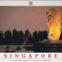 The Merlion At Night