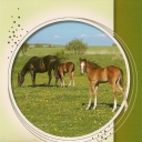 Horses I