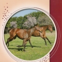 Horses II