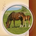 Horses III