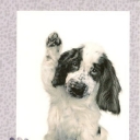 Dog I