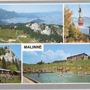 Malinné