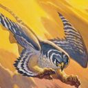 Peregrine Griffin