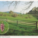 Biele Karpaty
