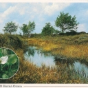 Horna Orava