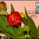 Stamp children - Spring