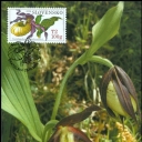 Nature Conservancy - orchids, Lady's Slipper