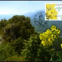 Nature Conservancy: Muranska - Primula bare