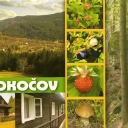 Klokočov