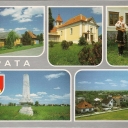 Pata