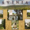 Svinia