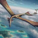 Skywinder Drake