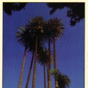 Las Palmas